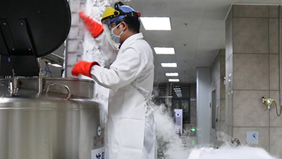 将脐带血放入液氮罐中冻存